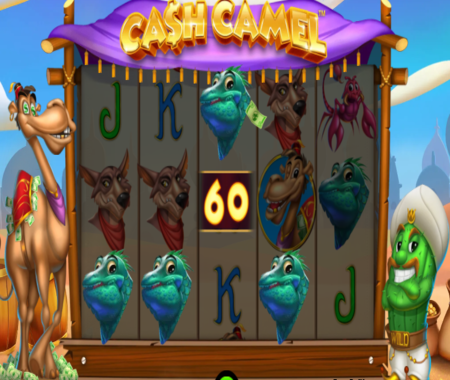 Cash Camel big win