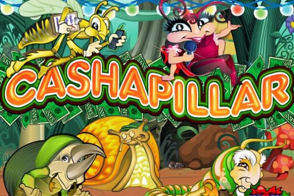 Cashapillar-ss-img