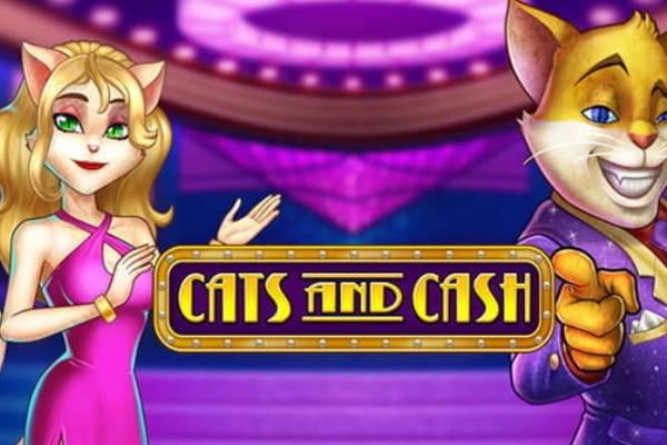 Cats and Cash-ss-img