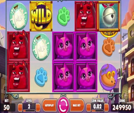 Copy Cats función especial