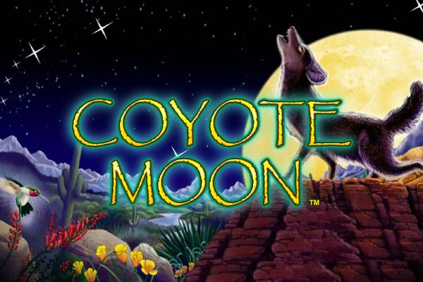 Coyote Moon-ss-img