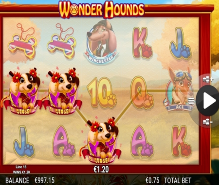 Wonder Hounds small win