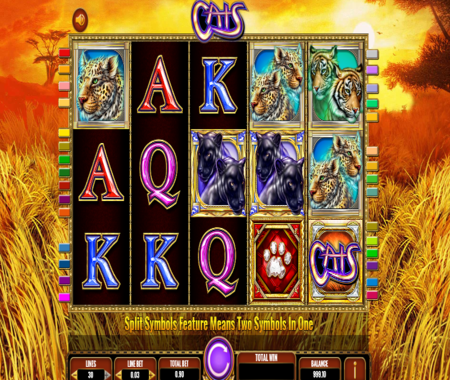 Cats símbolos especiales