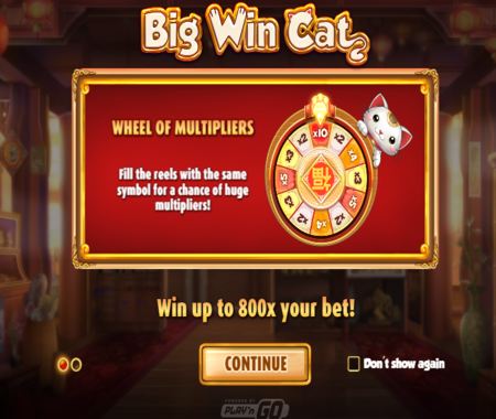 Big win cat slot