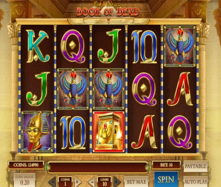 Book Of Dead slot
